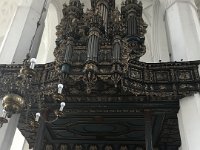 IMG 0261